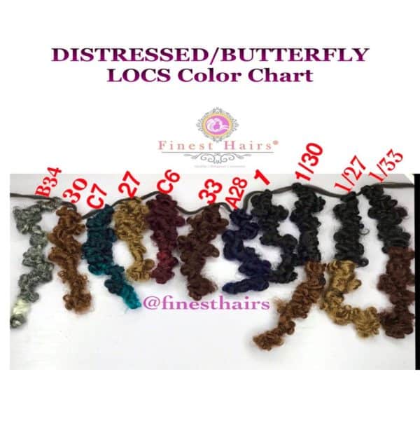 Butterfly Locs (Frontal and Full Lace Wig options) - Image 5